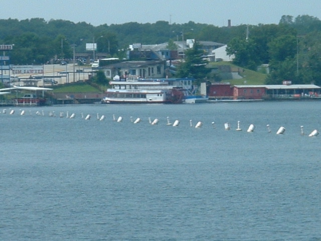 06-10-2003lake2.jpg