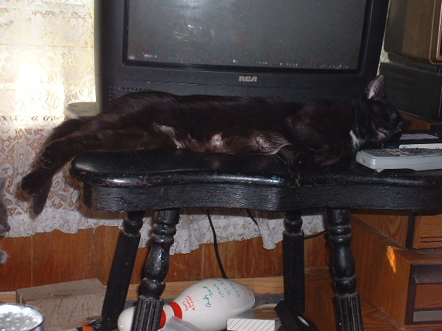 07-06-2003rajah.jpg