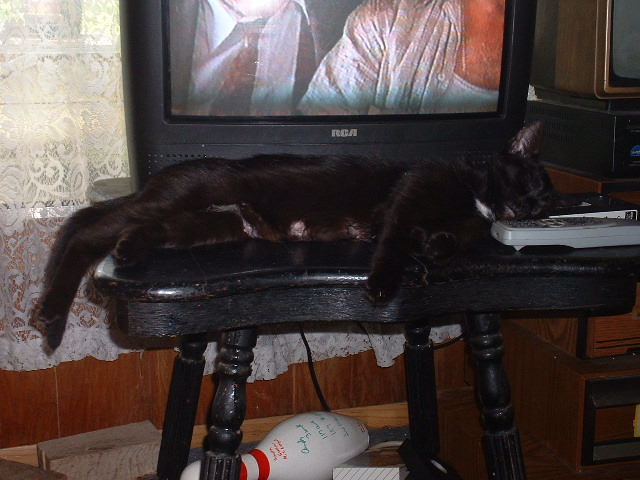 07-06-2003rajah2.jpg