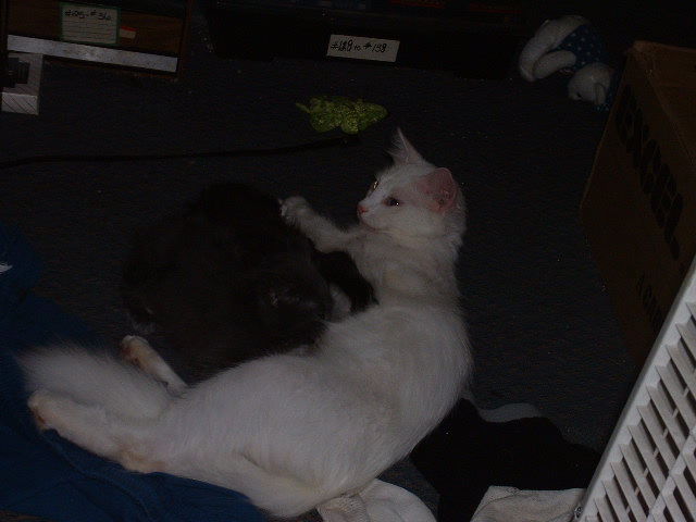 07-06-2003snowflakeandbabies.jpg