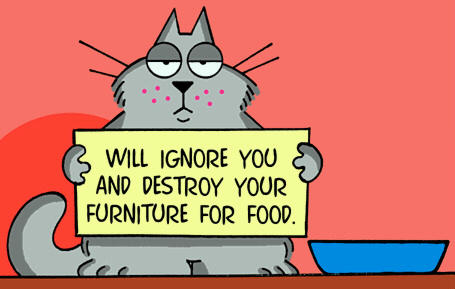 cattoon4.jpg