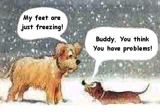 freezing.jpg