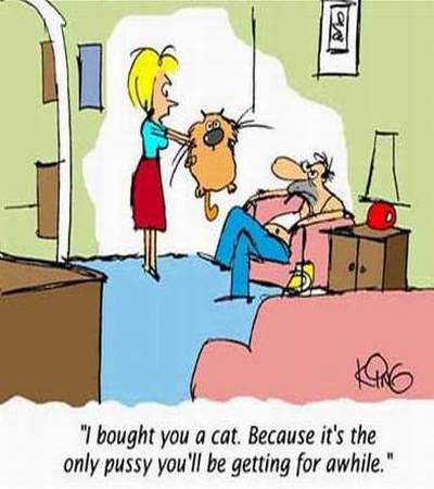 pussy.jpg