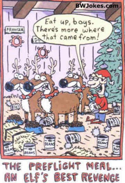santa_prefilght.jpg