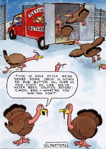 turkey.jpg