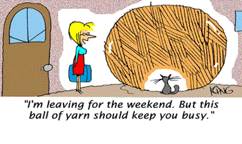 yrn.gif
